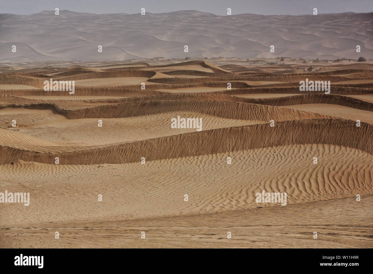 Spostamento dune di sabbia-deserto Takla Makan. Contea di Yutian Keriya-regione di Xinjiang Uyghur-Cina-0224 Foto Stock