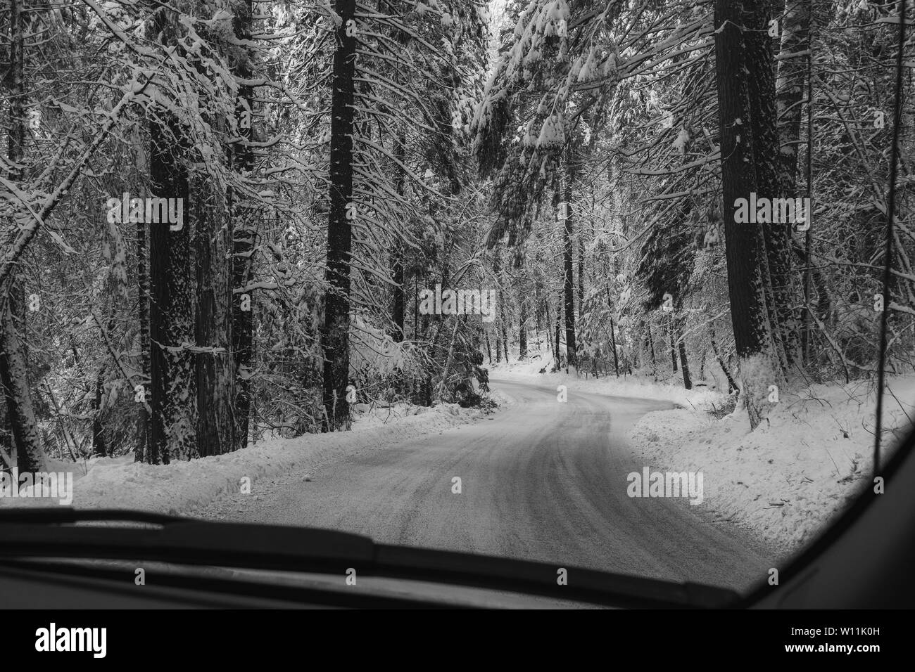 Strada di Montagna autostrada 120 verso il Parco Nazionale di Yosemite in California, Stati Uniti d'America, su un inverni giorno visto dal cruscotto di un'auto, dotate di neve sulla strada come un segno Foto Stock