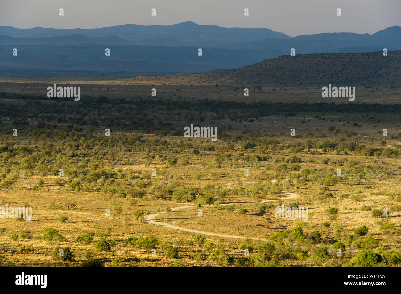 Vista panoramica, Mountain Zebra National Park, Sud Africa Foto Stock