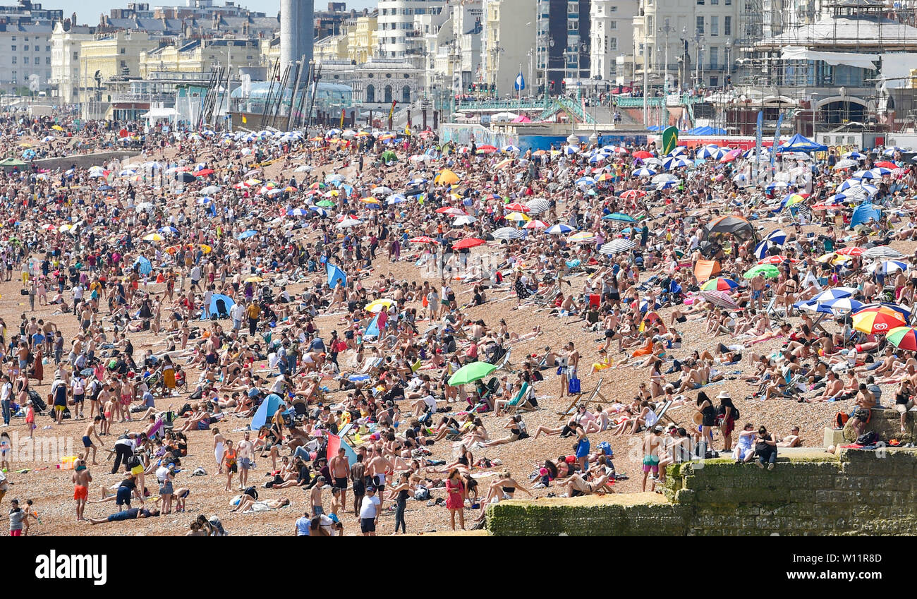 Brighton Regno Unito 29 Giugno 2019 - la spiaggia di Brighton è imballato come la Gran Bretagna swelters nell'ondata di caldo sole con alcune zone del sud-est previsioni per raggiungere oltre 30 gradi . Credito : Simon Dack / Alamy Live News Foto Stock