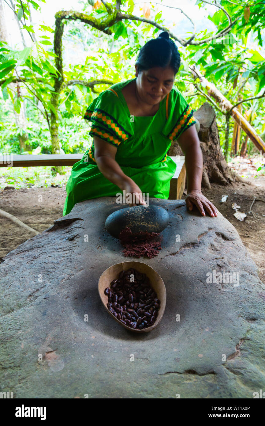 Rendendo chocolat, Oreba cacao biologico, Oeste Arriba River, Ngabe gruppo etnico, Bocas del Toro Provincia, Panama, America Centrale, America Foto Stock