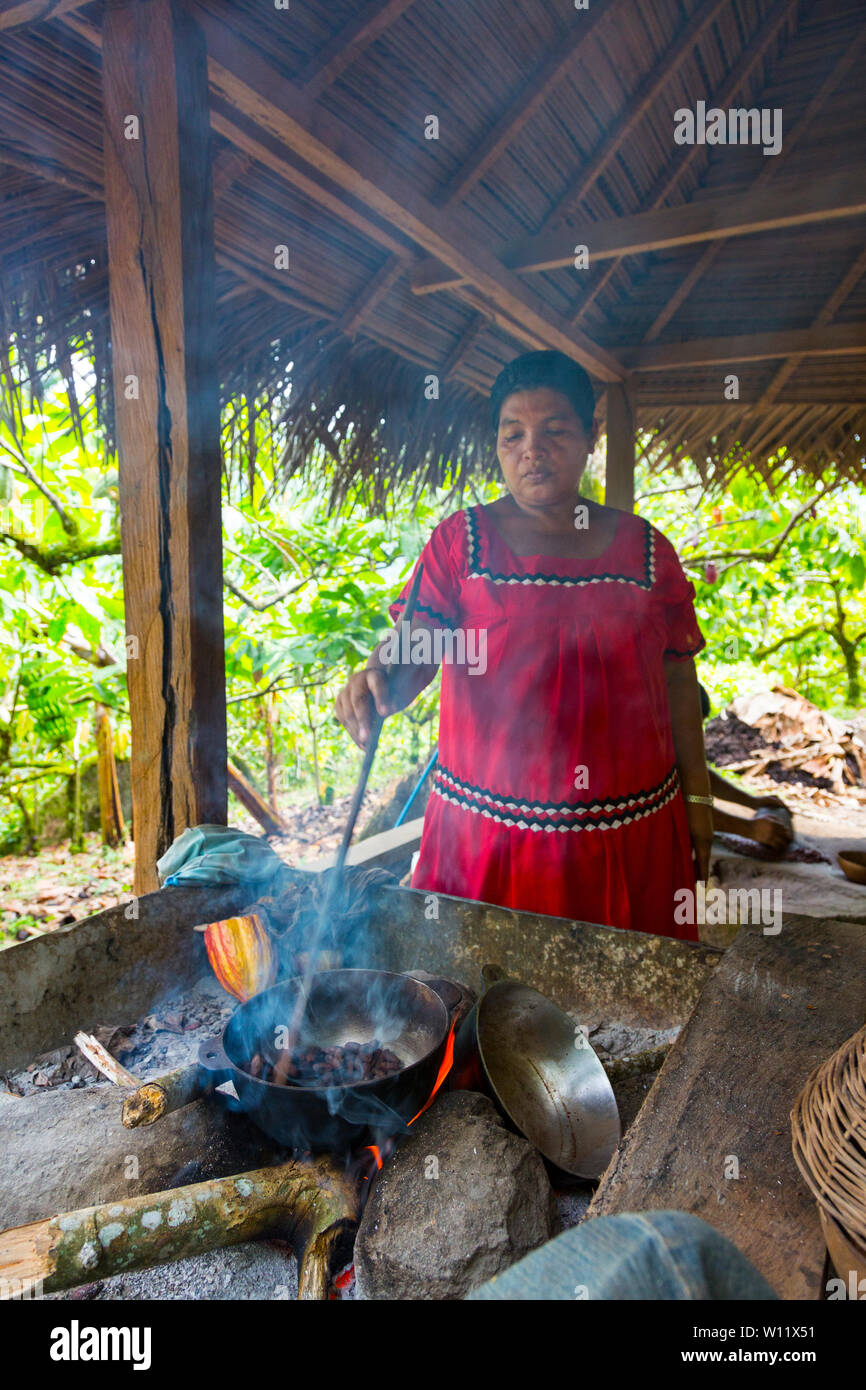 Torrefazione di chicchi di cacao, Oreba cacao biologico, Oeste Arriba River, Ngabe gruppo etnico, Bocas del Toro Provincia, Panama, America Centrale, America Foto Stock