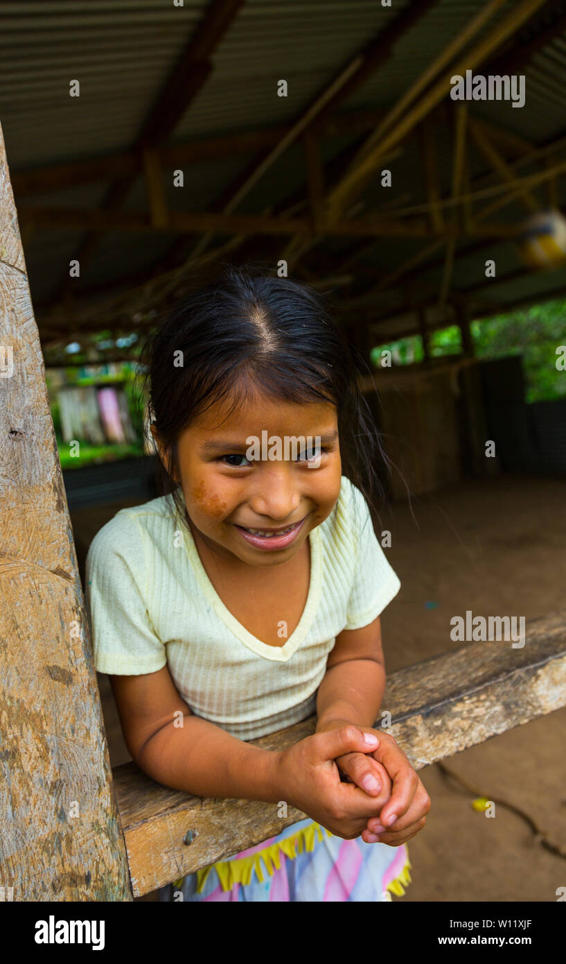 Oreba cacao biologico, Oeste Arriba River, Ngabe gruppo etnico, Bocas del Toro Provincia, Panama, America Centrale, America Foto Stock