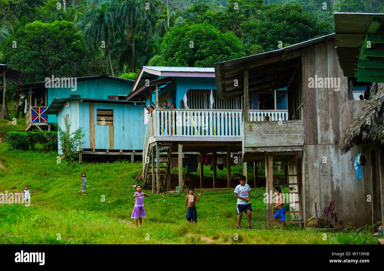 Oreba cacao biologico, Oeste Arriba River, Ngabe gruppo etnico, Bocas del Toro Provincia, Panama, America Centrale, America Foto Stock