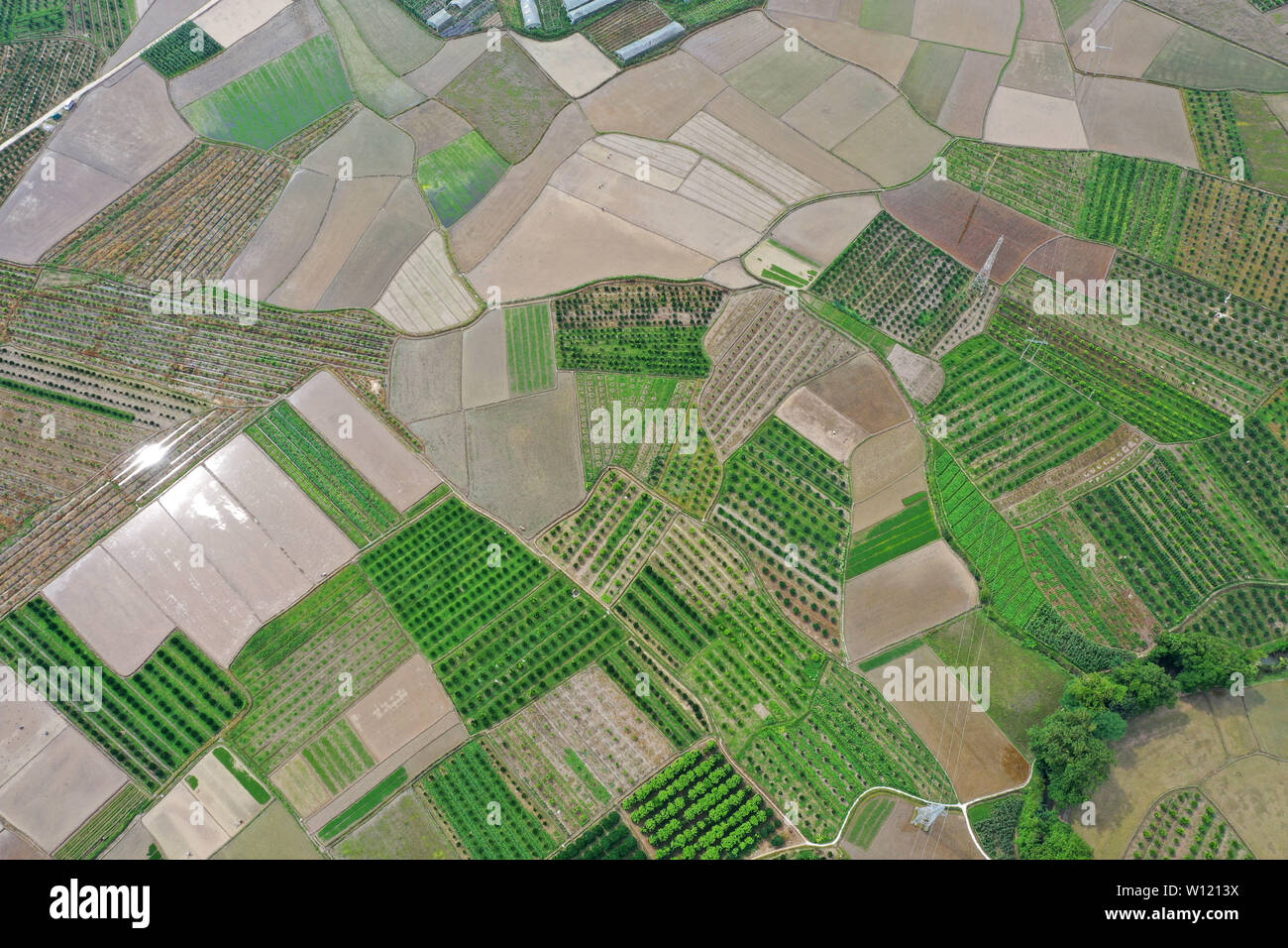Quanzhou. Il 29 giugno, 2019. Foto aerea adottate il 29 giugno 2019 illustra il terreno coltivabile scenario di Fenghuang township di Quanzhou County, a sud della Cina di Guangxi Zhuang Regione autonoma. Credito: Lu Boan/Xinhua/Alamy Live News Foto Stock