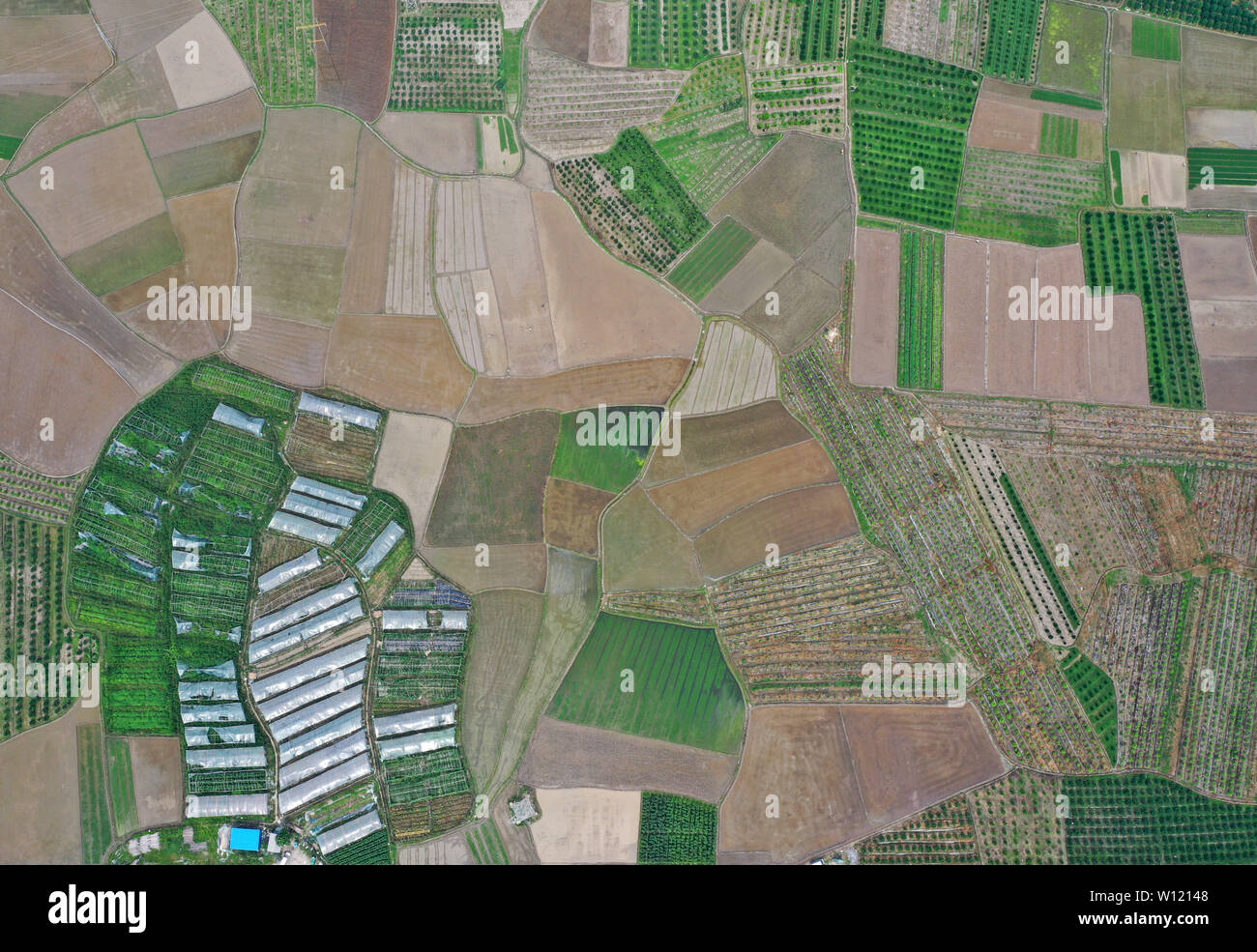 Quanzhou. Il 29 giugno, 2019. Foto aerea adottate il 29 giugno 2019 illustra il terreno coltivabile scenario di Fenghuang township di Quanzhou County, a sud della Cina di Guangxi Zhuang Regione autonoma. Credito: Lu Boan/Xinhua/Alamy Live News Foto Stock
