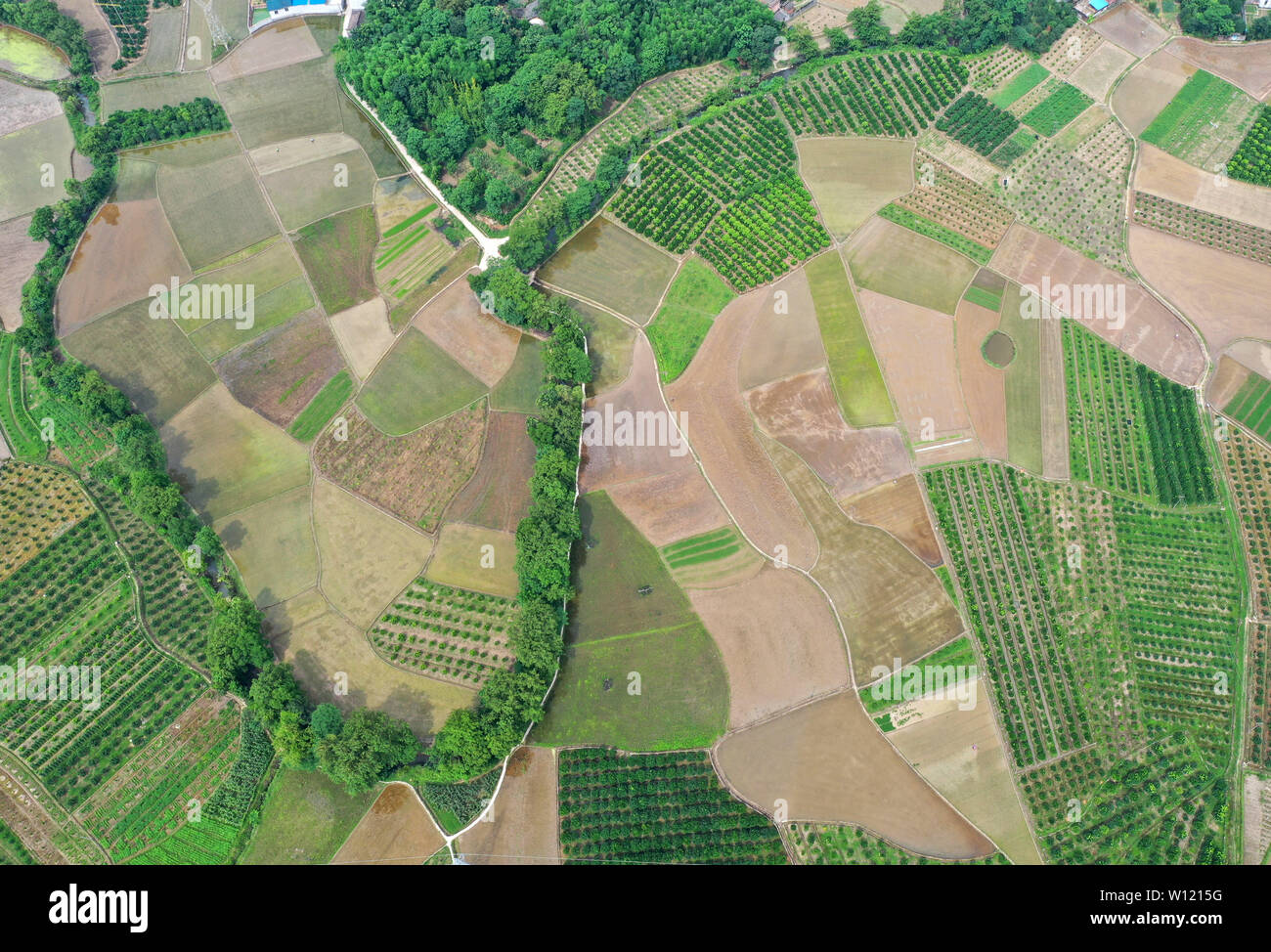Quanzhou. Il 29 giugno, 2019. Foto aerea adottate il 29 giugno 2019 illustra il terreno coltivabile scenario di Fenghuang township di Quanzhou County, a sud della Cina di Guangxi Zhuang Regione autonoma. Credito: Lu Boan/Xinhua/Alamy Live News Foto Stock