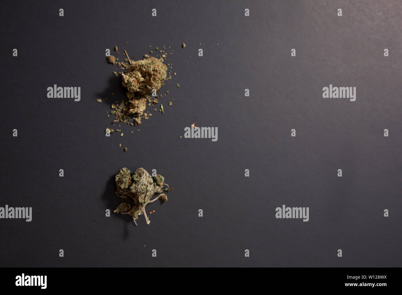 Due distinti ceppi di marijuana o weed contro il nero lo spazio negativo Foto Stock