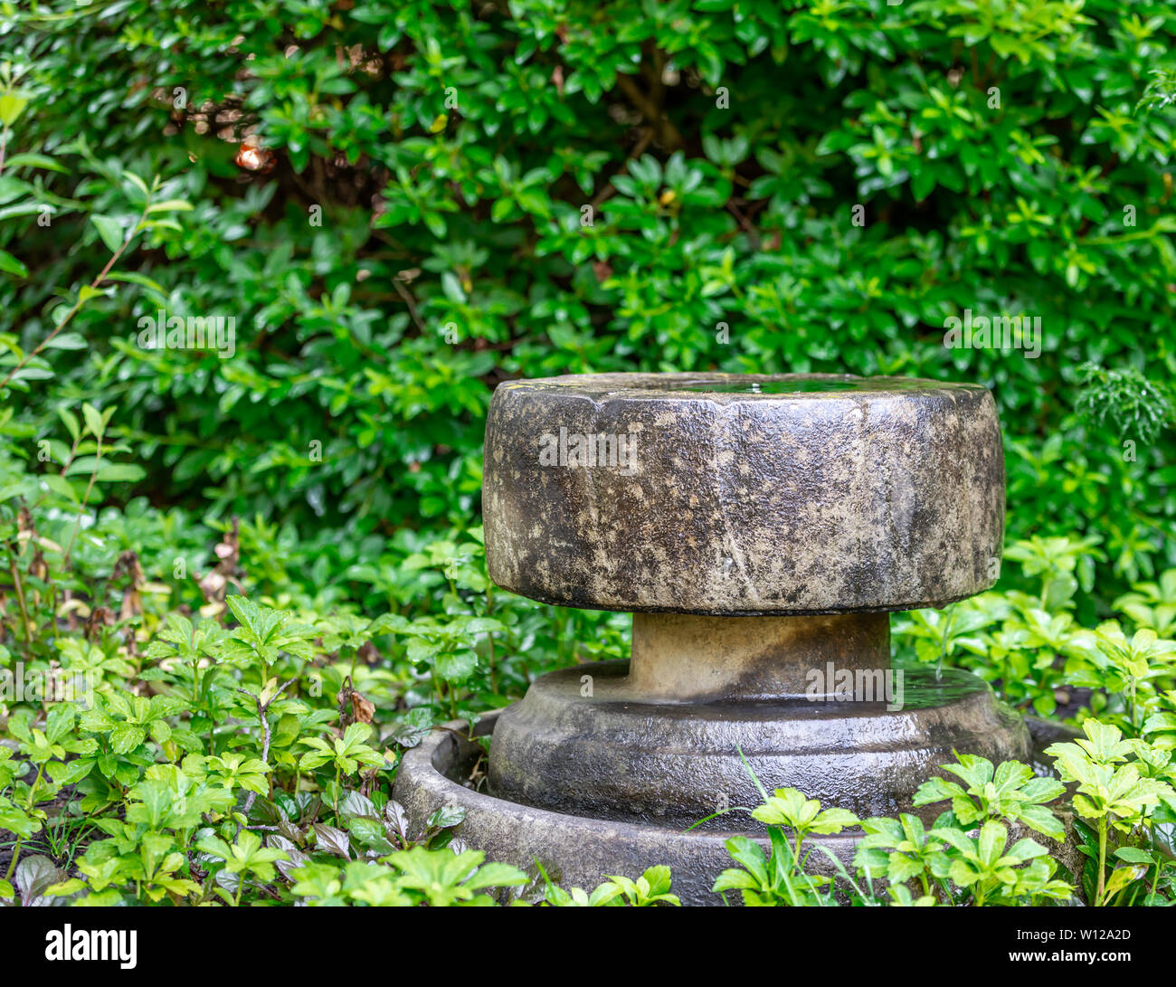 Round weathered fontana di pietra in un giardino verde Foto Stock