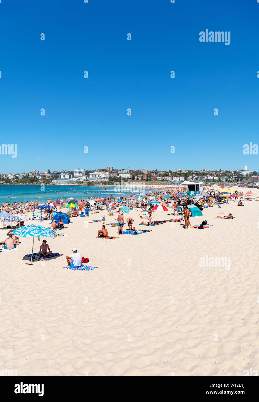 La spiaggia di Bondi, Sydney, Nuovo Galles del Sud, Australia Foto Stock