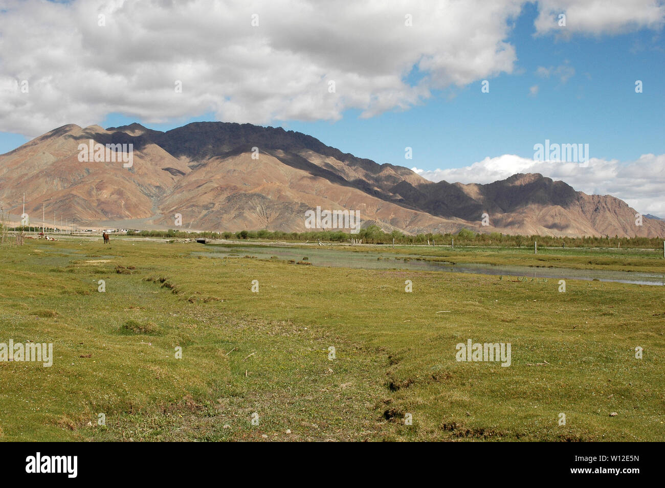 Erba verde, marrone montagne, cielo blu e nuvole nel paesaggio tibetano in Cina Foto Stock