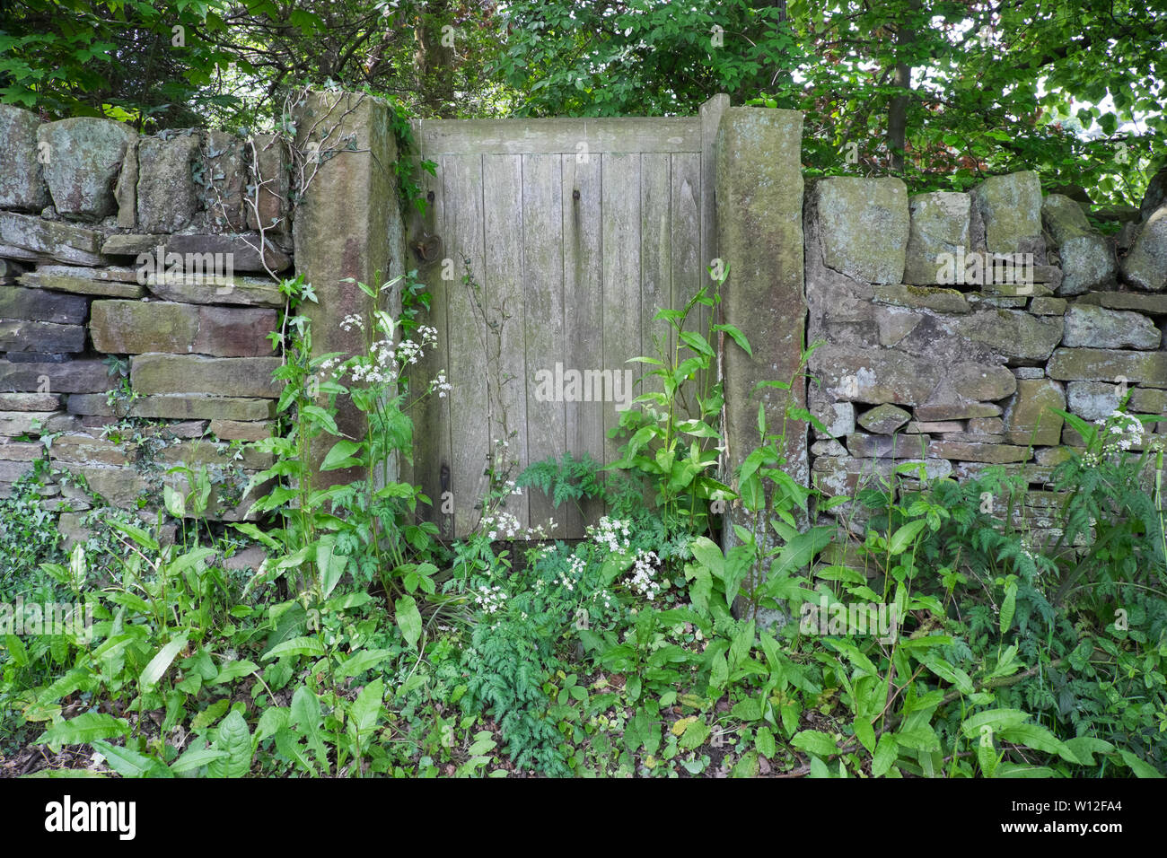 Cancello in un muro di pietra asciutto con erbacce Foto Stock