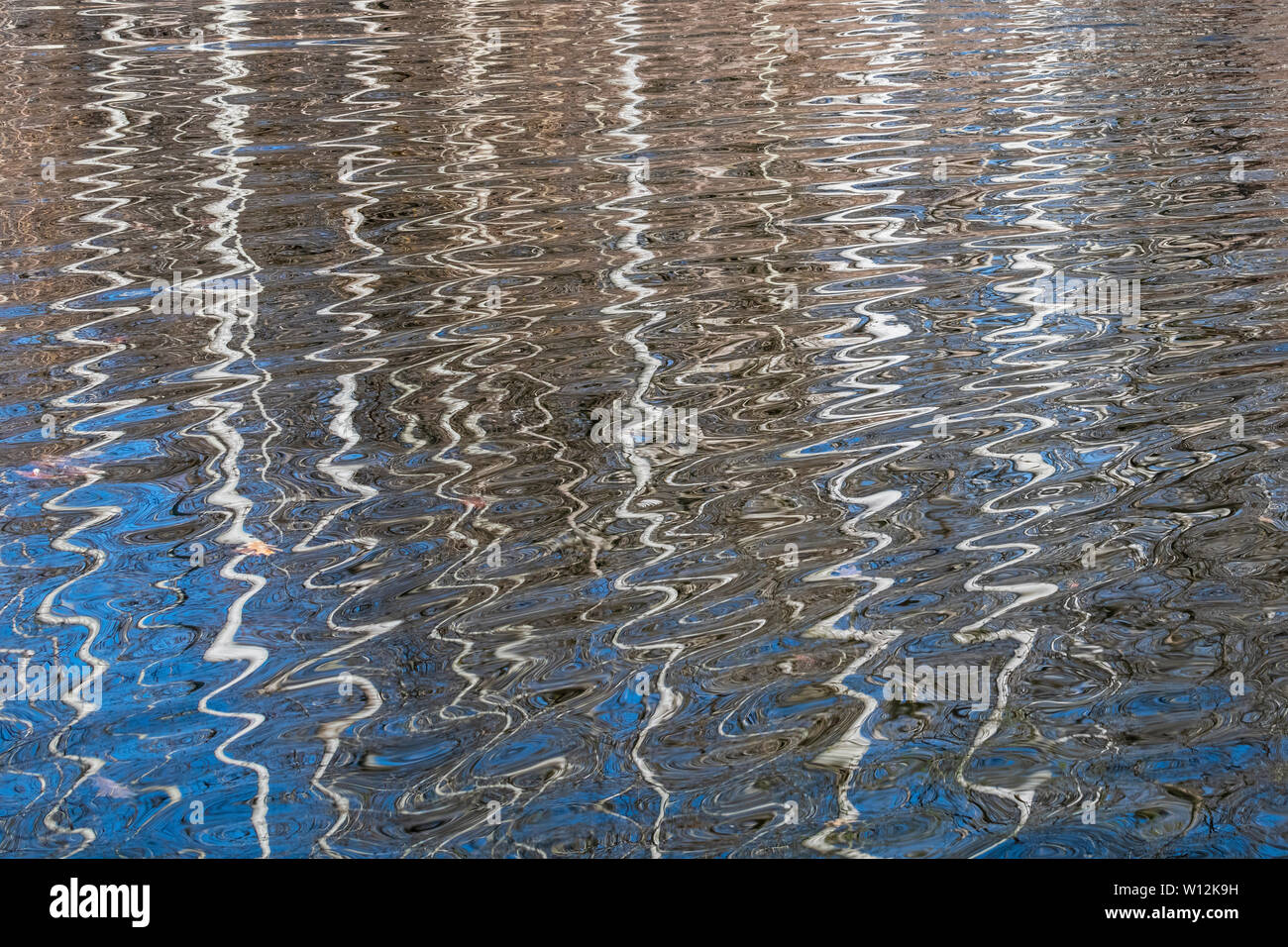 Riflessioni di foresta in uno stagno, molla, orientale degli Stati Uniti, di Dominique Braud/Dembinsky Foto Assoc Foto Stock