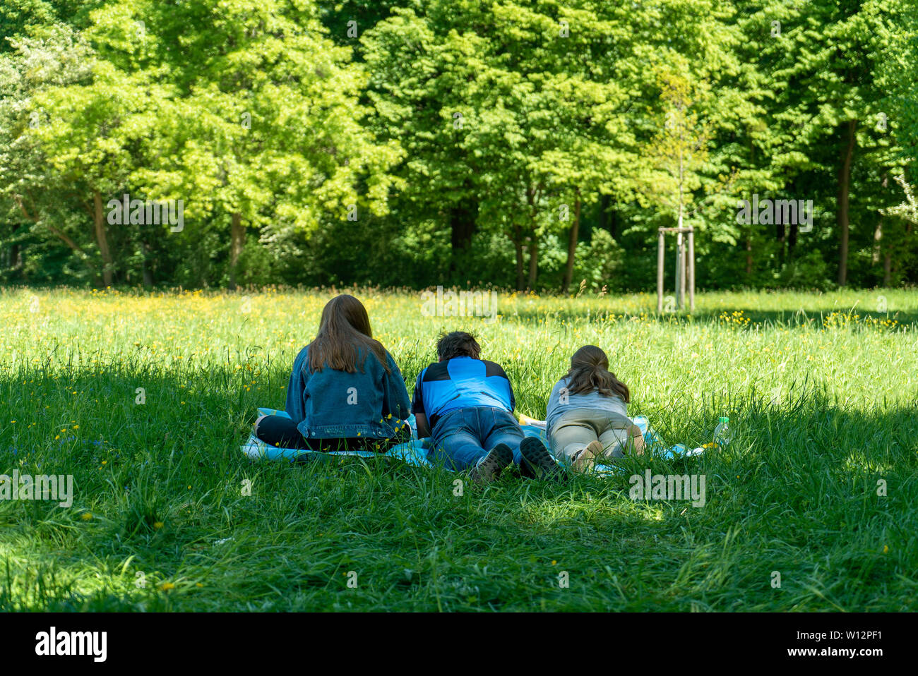 Tre persone che giace in un parco sull'erba . Essi sono illustrati da dietro. Una donna e uomo disteso e sulla donna seduta. Foto Stock