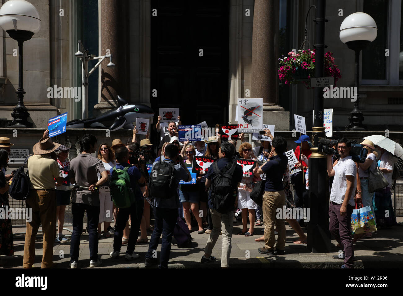Londra, Regno Unito. Il 29 giugno, 2019. I dimostranti protestano di fronte all'ambasciata giapponese, Londra contro la rinnovata baleniera giapponese da imprese di pesca. La demo è strettamente seguito da supporti in giapponese. Credito: Joe Kuis / Alamy News Foto Stock