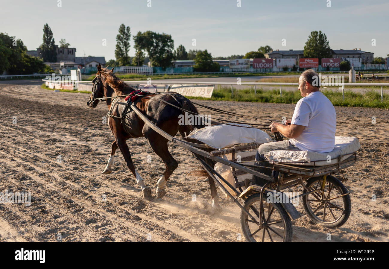 In Serbia il 29 giugno 2019: il cablaggio racing jockey formazione il suo cavallo all Ippodromo di Belgrado Foto Stock