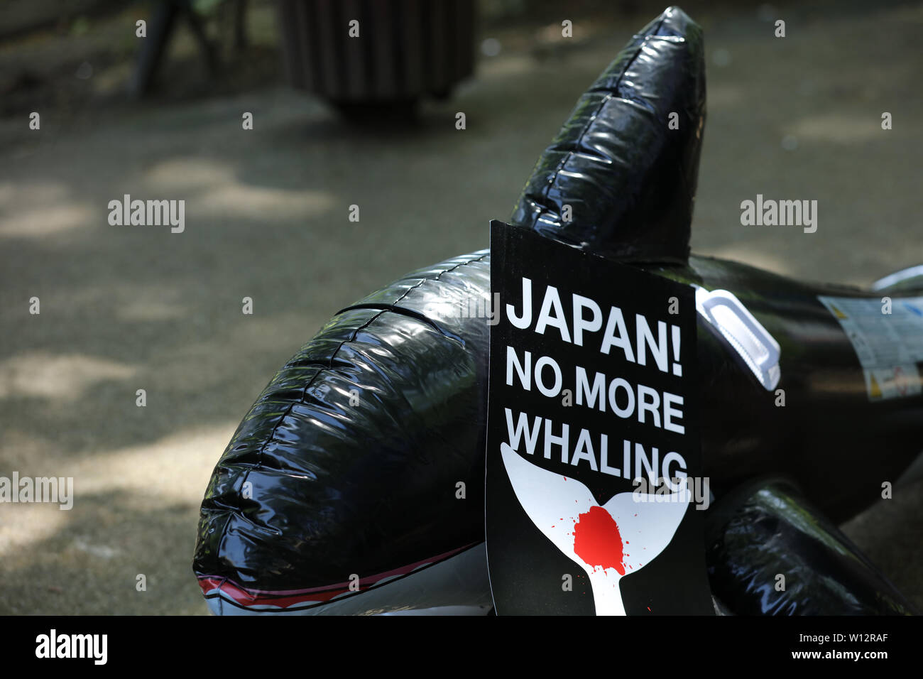 Londra, Regno Unito. Il 29 giugno, 2019. Dimostrazione contro la rinnovata baleniera giapponese da imprese di pesca. I dimostranti si riuniscono in Cavendish Square e a piedi attraverso Londra all'ambasciata giapponese per un breve periodo di protesta. Credito: Joe Kuis / Alamy News Foto Stock