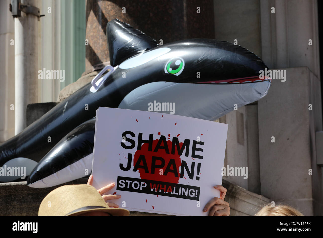 Londra, Regno Unito. Il 29 giugno, 2019. I dimostranti protestano di fronte all'ambasciata giapponese, Londra contro la rinnovata baleniera giapponese da imprese di pesca. La demo è strettamente seguito da supporti in giapponese. Credito: Joe Kuis / Alamy Foto Stock