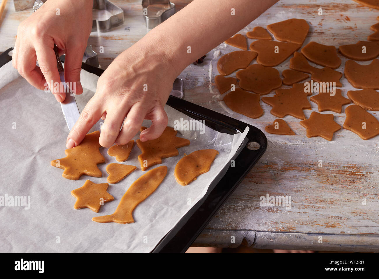 Donna con le mani in mano posto materie ginger cookies sul vassoio da forno Foto Stock