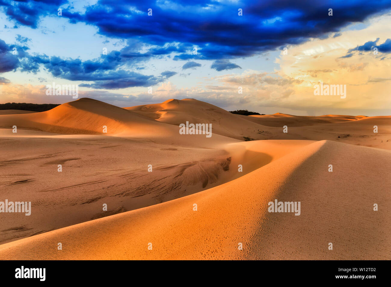 Dark nuvole temporalesche durante ranes su deserta esanime dune di sabbia di Stockton Beach sulla costa del Pacifico in Australia. Masse di sabbia asciutta formando terra wav Foto Stock