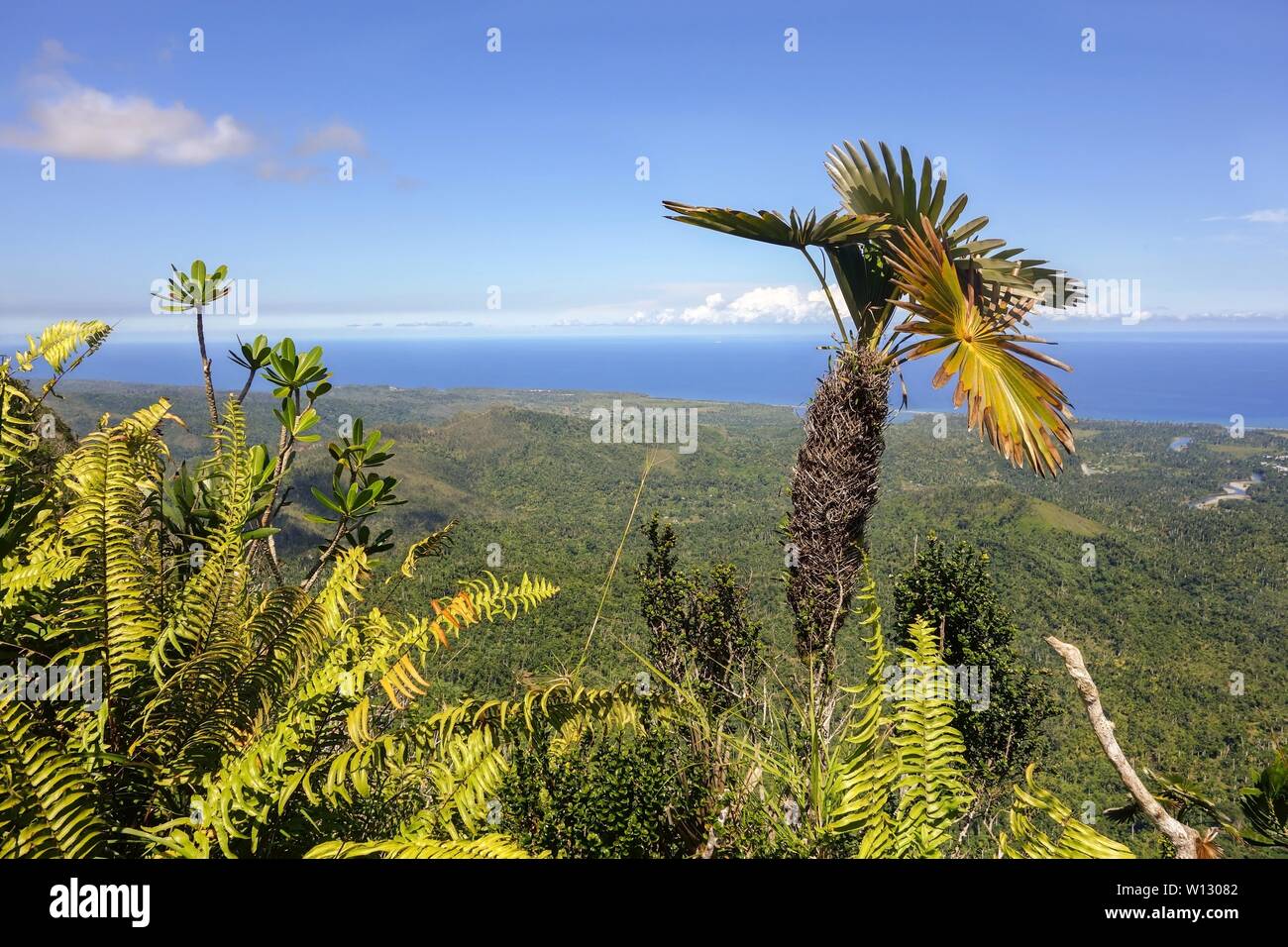 Vegetazione tropicale e distante Oceano Atlantico litorale orizzonte paesaggio dal vertice di El Yunque montagna sopra Baracoa Bay Cuba Foto Stock