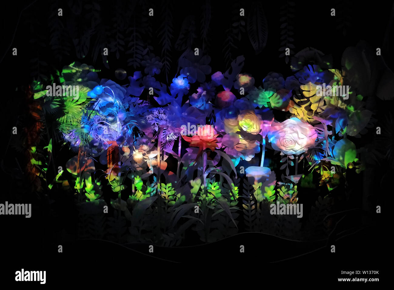 Fiori artificiali di vari colori che emettono luci sognanti. Foto Stock