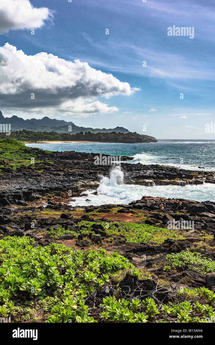 La costa della Baia di Keoniloa, Kauai, Hawaii Foto Stock