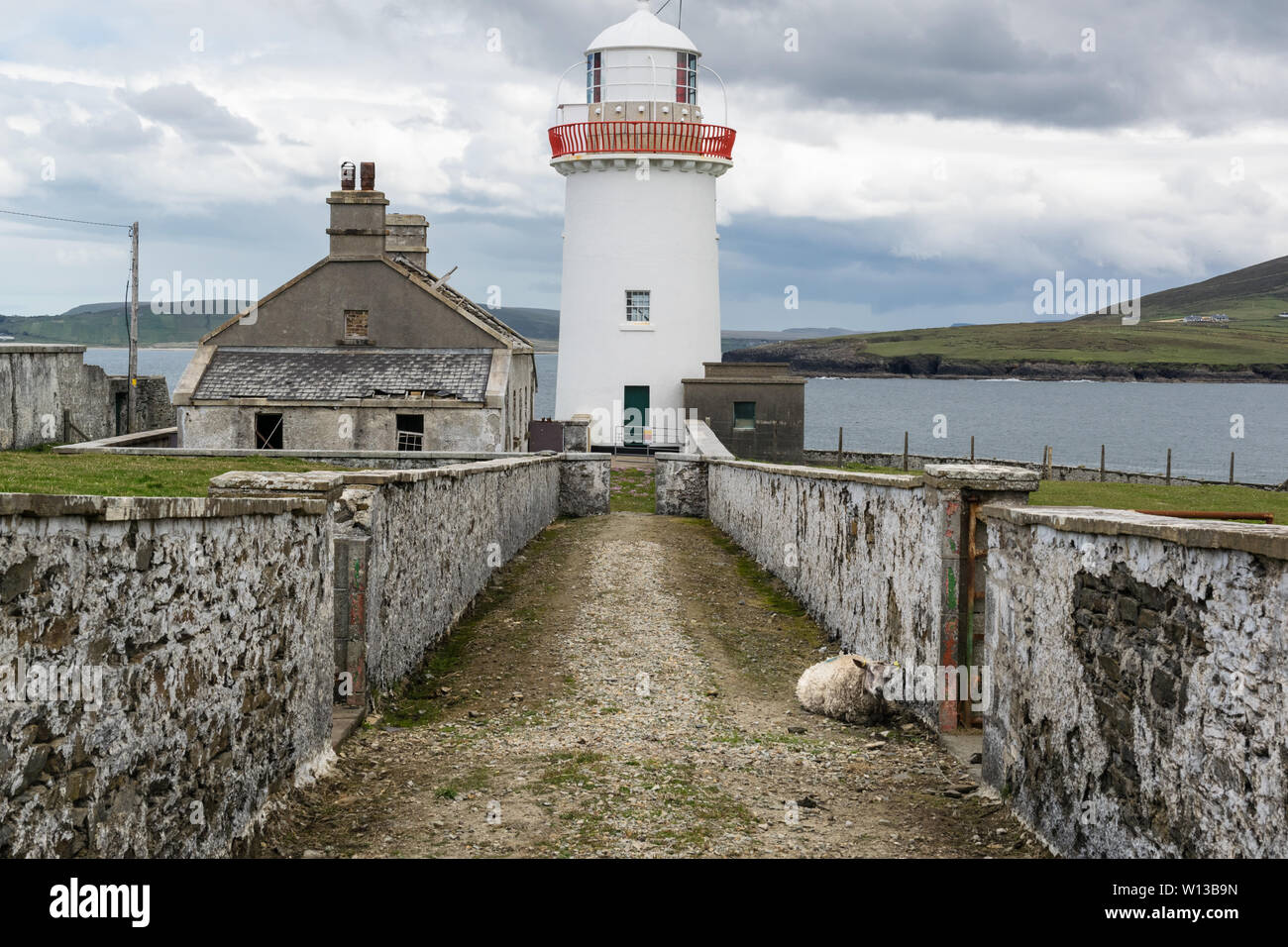 Ballyglass faro sulla costa orientale della contea di Mayo, Irlanda. Una pecora lone è in appoggio sulla strada Foto Stock