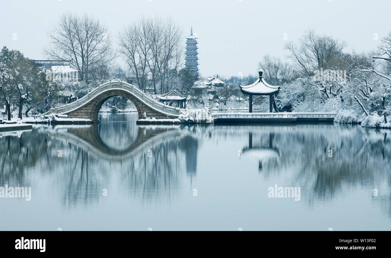Foto Creative includono paesaggi, architettura, animali ecc. Foto Stock