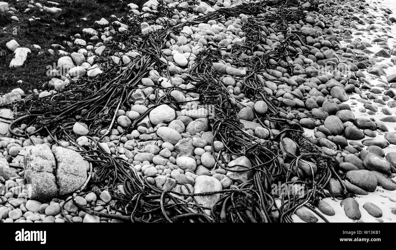 Il Smitswinkel Bay sulla costa Sud Africa False Bay costa, vicino alla città di Cape Town Foto Stock