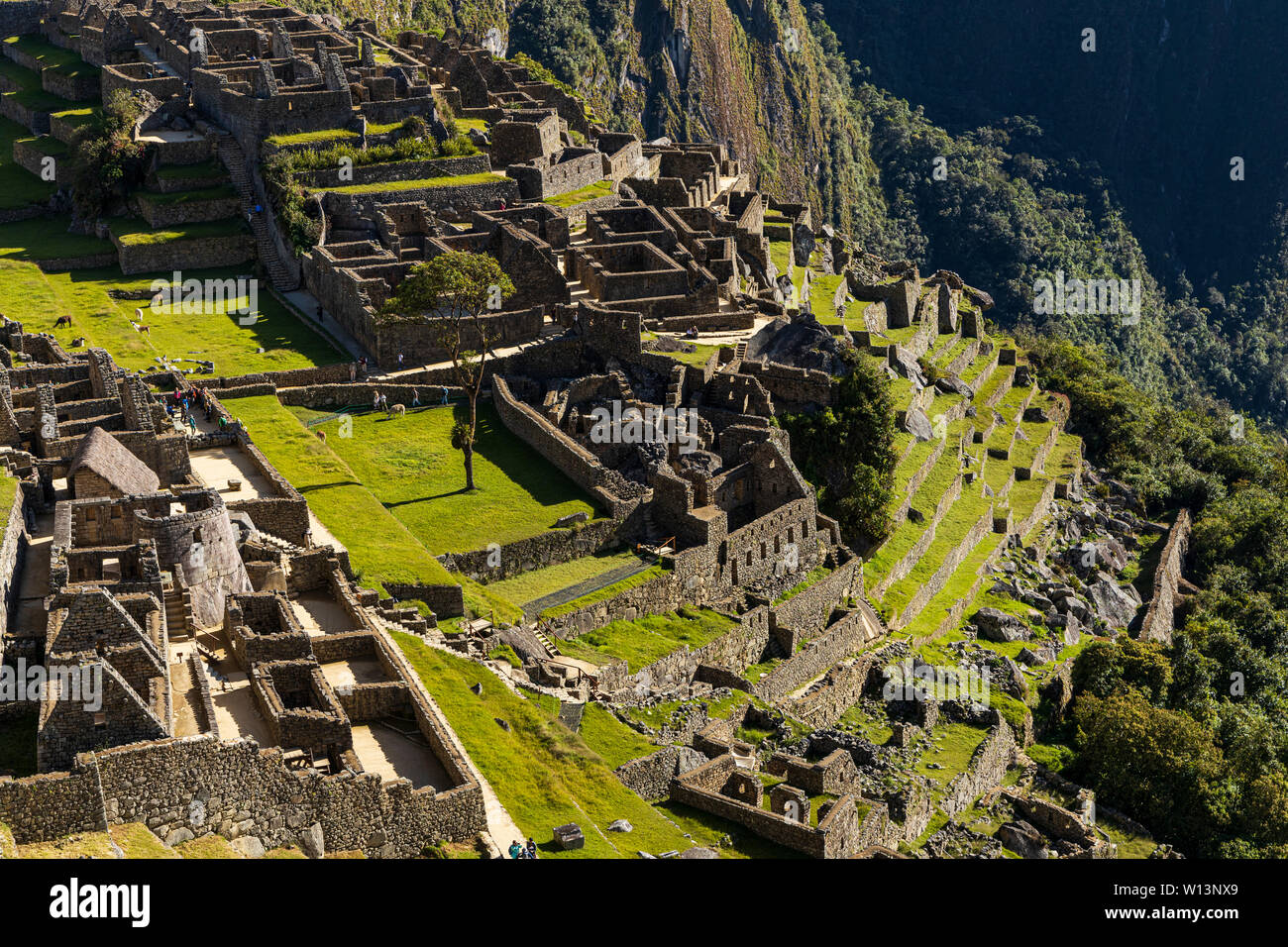Machu Picchu, Urubamba, regione di Cusco, Perù, Sud America Foto Stock