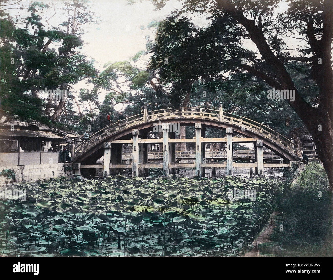 [ 1890 Giappone - Tamburo Soribashi Bridge, Osaka ] - Lotus Pond sotto ponte Soribashi al Santuario Sumiyoshi a Osaka. Il ponte è anche noto come Taikobashi (Tamburo ponte). Xix secolo albume vintage fotografia. Foto Stock