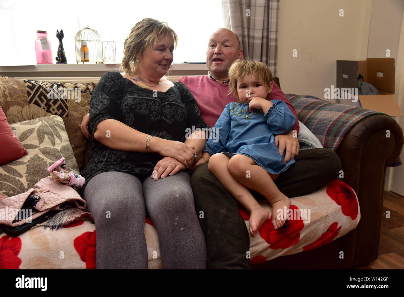 Romany viaggiatore Tom prezzo a casa a Pencoed con il suo partner Luanne e figlia Maggie. Egli è raffigurato al suo smallholding con il boss di Galway Foto Stock