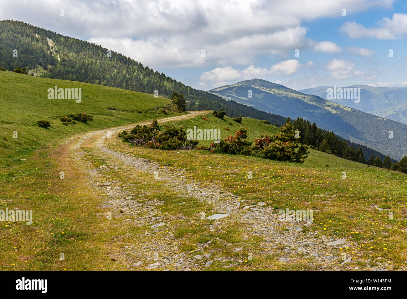 Alta montagna sentiero escursionistico dei Pirenei catalani Foto Stock