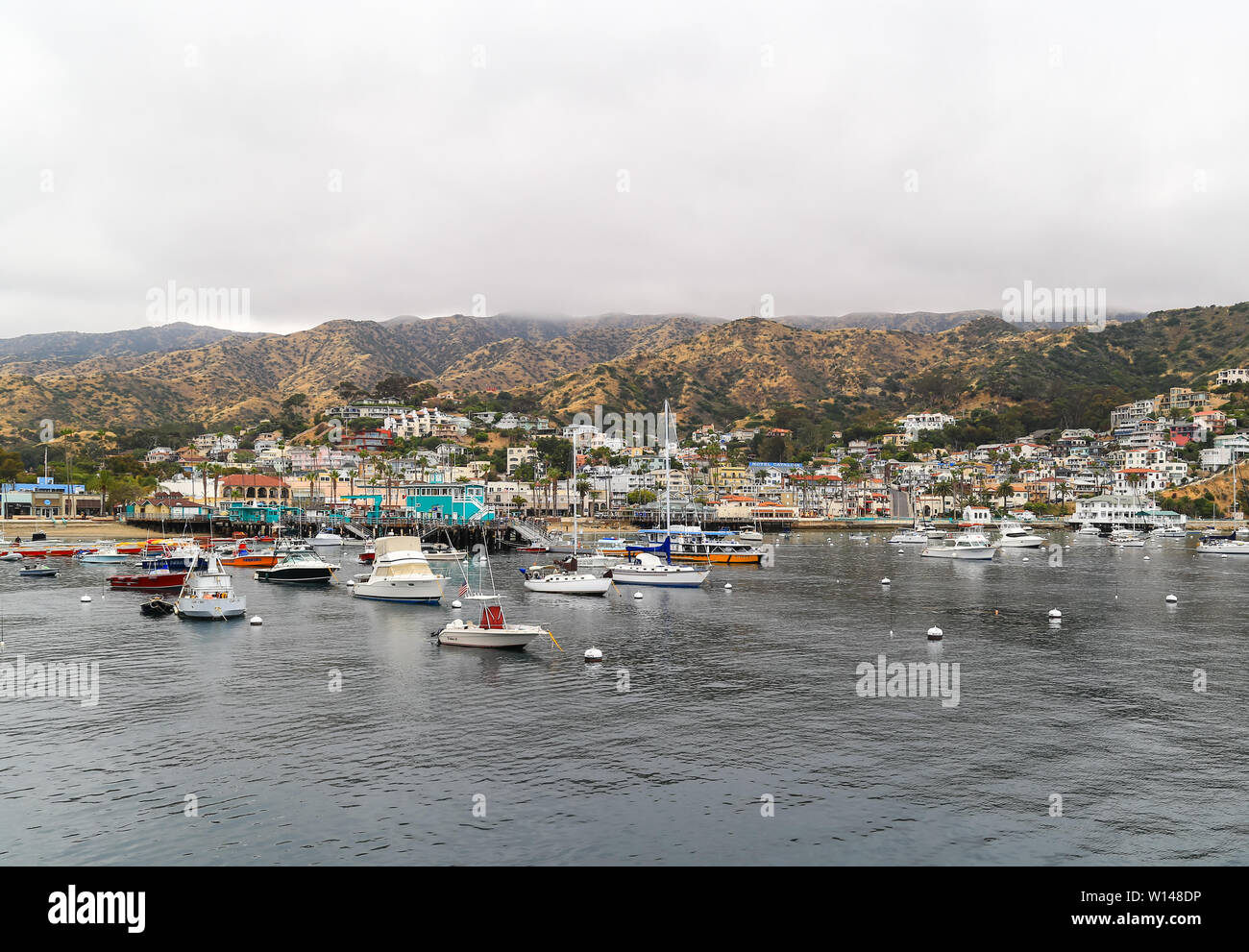 Avalon, California, Stati Uniti d'America - 31 Maggio 2017: la più grande città sull isola di Santa Catalina con molte case nelle colline e molte barche in marina. Foto Stock