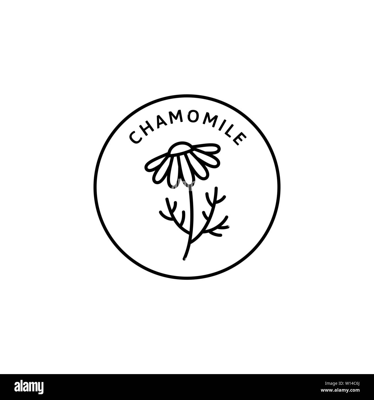 La Camomilla fiori organici a base di erbe di badge e icona nella tendenza stile lineare - Logo vettoriale emblema della Camomilla medica può essere utilizzato il modello per il tè di imballaggio , prodotti cosmetici, medicinali, additivi biologici Illustrazione Vettoriale