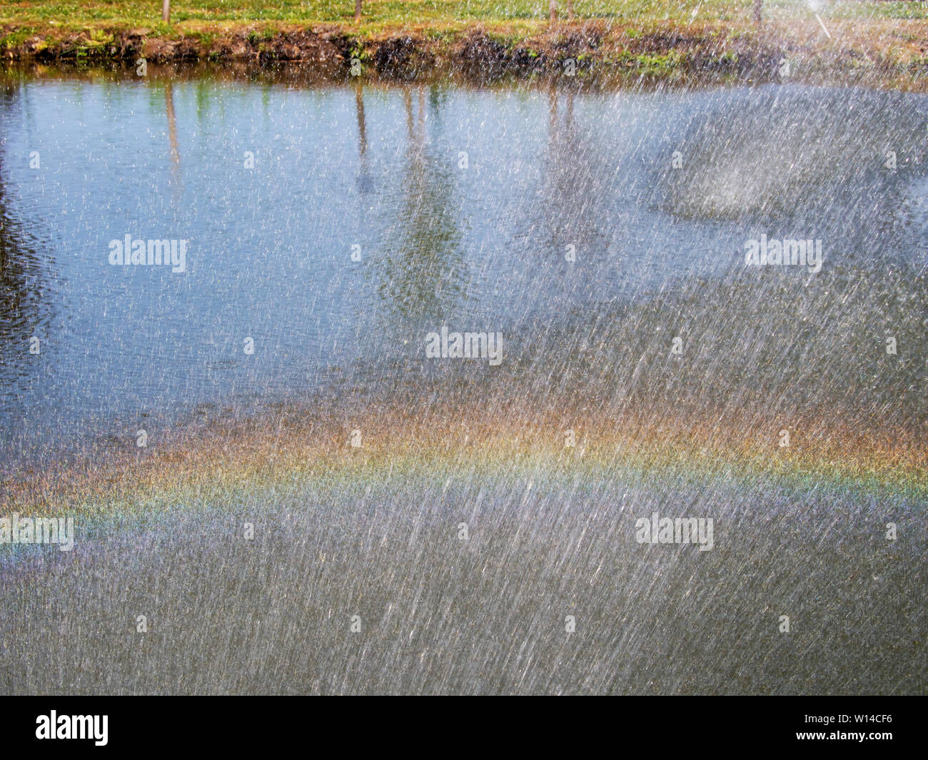 Abstract background. Acqua arcobaleno degli sprinkler durante il periodo secco, siccità stagione. Foto Stock