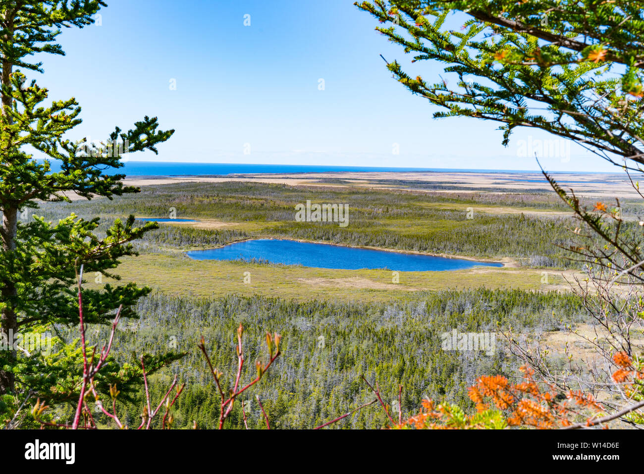 Vista dal Berry Hill del Parco Nazionale Gros Morne, Terranova, Canada Foto Stock