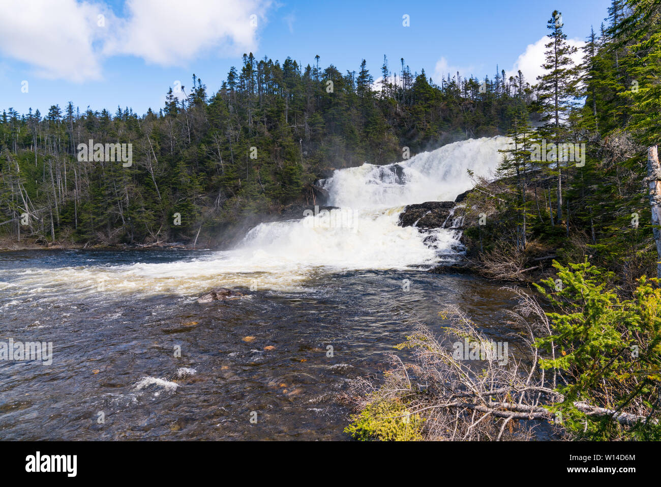 Fornai Brook cascata nel Parco Nazionale Gros Morne in Terranova, Canada Foto Stock