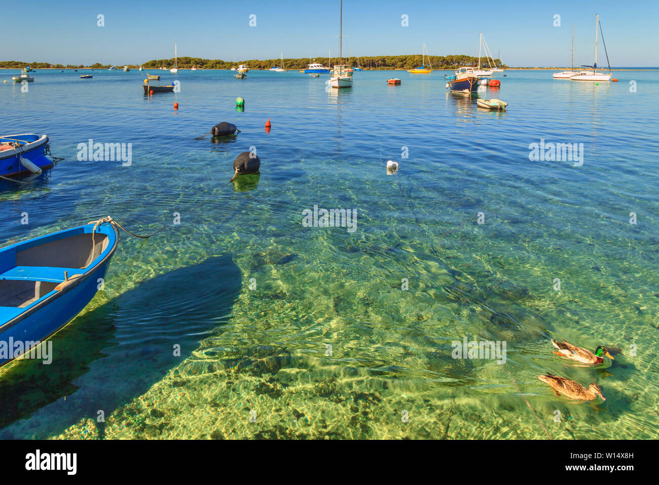 Le Più Belle Spiagge Di Sabbia Della Pugliaporto Cesareo