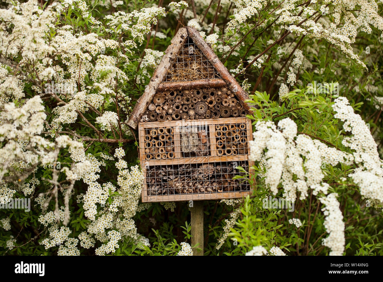 Casa degli insetti - hotel in un giardino di primavera Foto Stock
