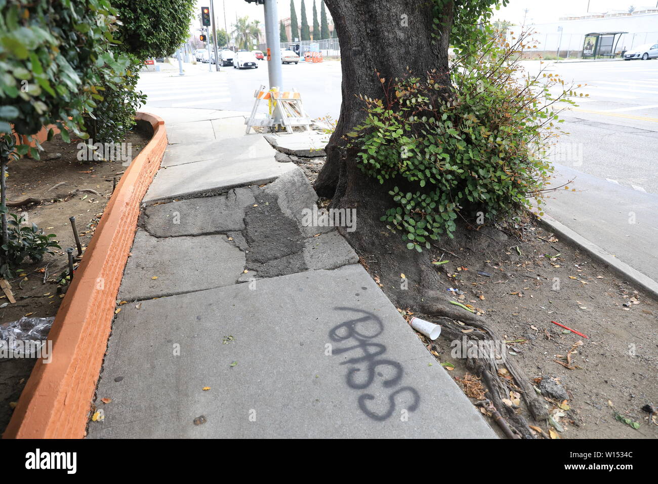 Radici di albero di distruggere il marciapiede Foto Stock