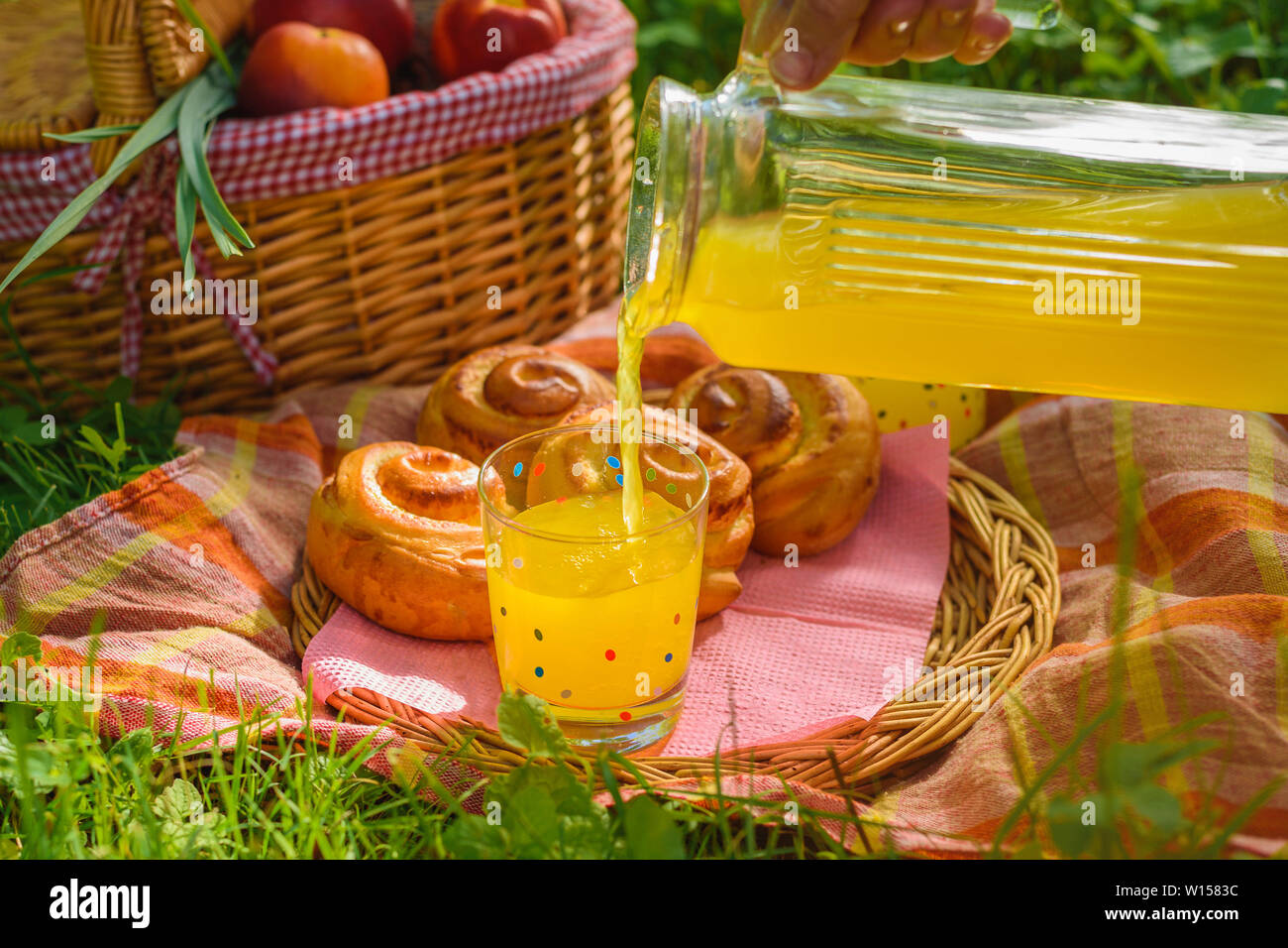 Picnic in natura. Cesto per pic-nic con frutta succo del decantatore e focacce Foto Stock