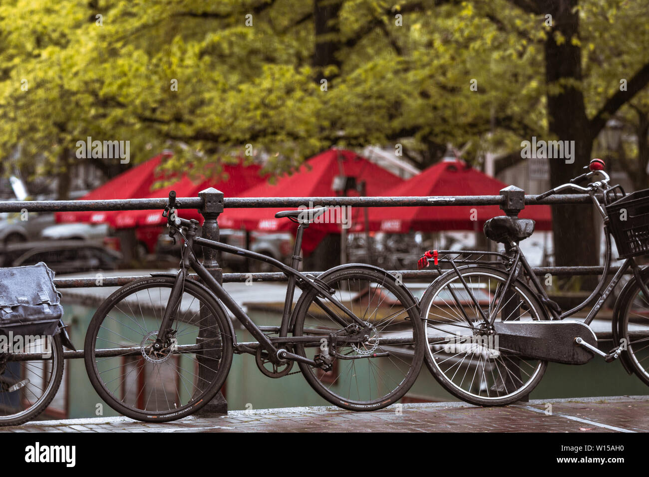Biciclette di Amsterdam Foto Stock