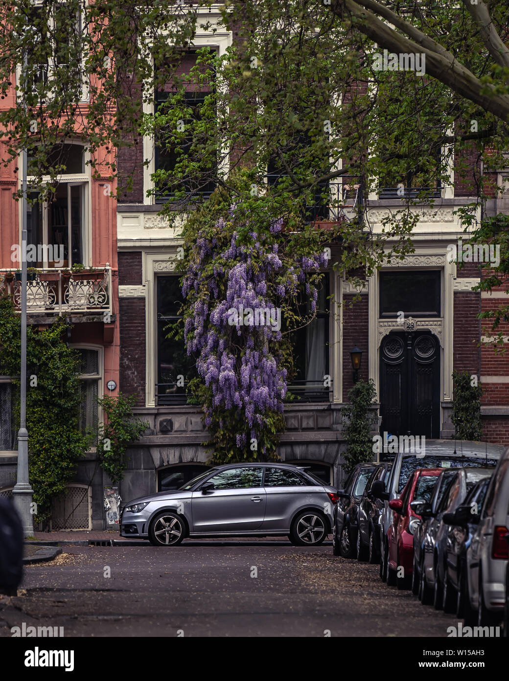 Amsterdam viola Foto Stock