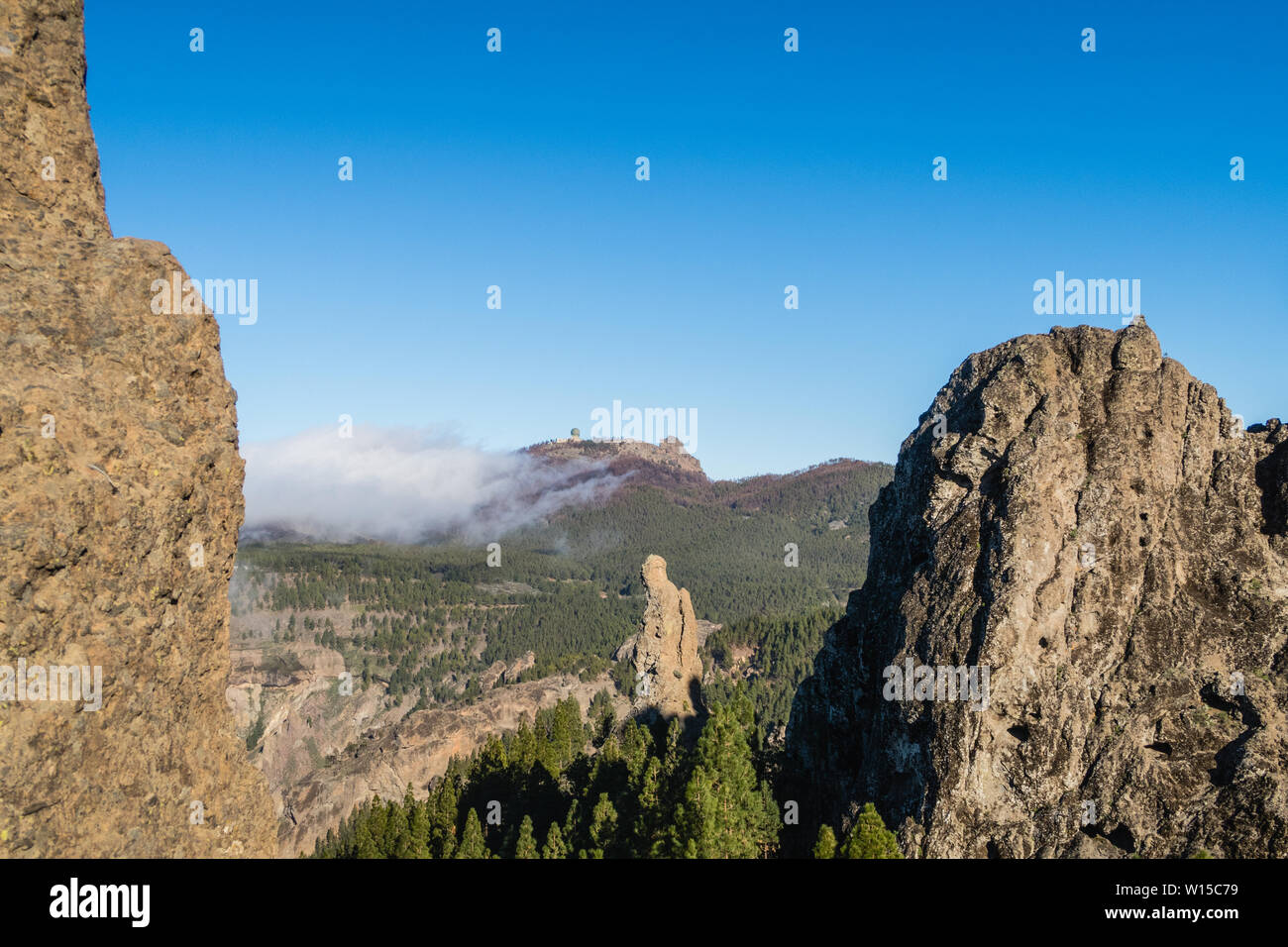 La natura e il paesaggio delle isole Canarie - Montagne di Gran Canaria Foto Stock