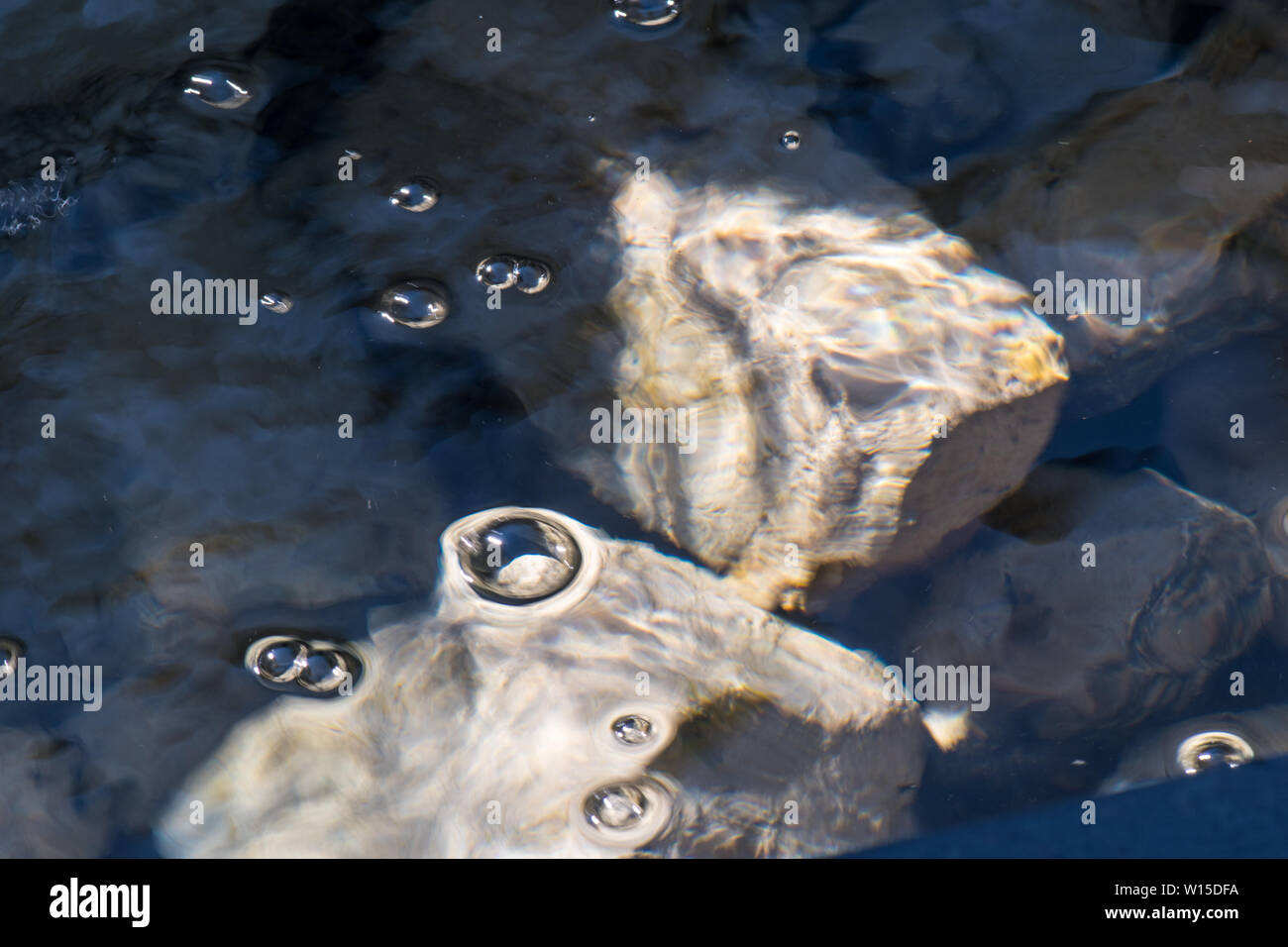 Bianco e Marrone di piume galleggiante su crystal clear acqua fredda con bolle di aria rocce sommerso sotto l'acqua Foto Stock