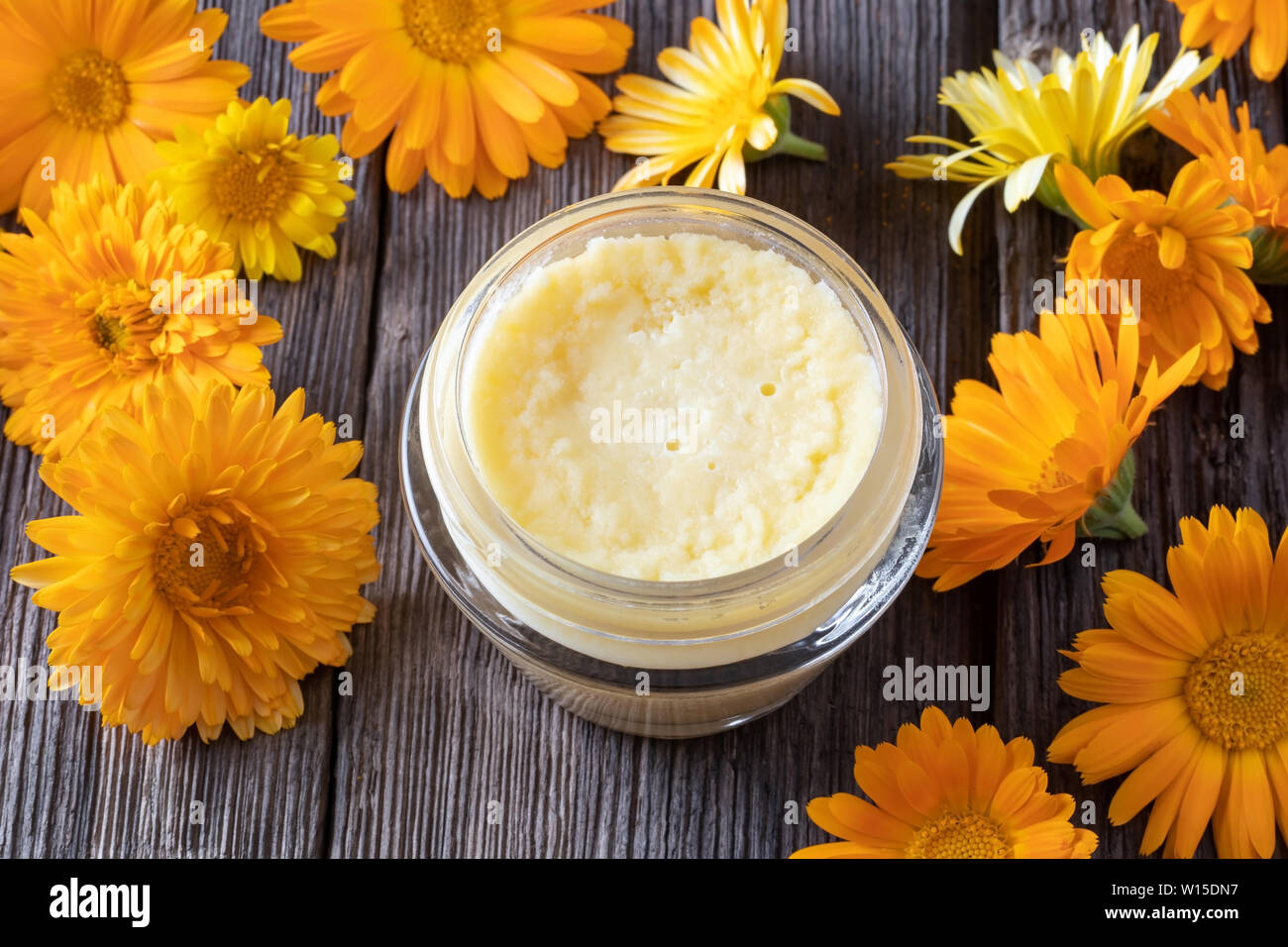 Un vaso di unguento artigianale realizzato dal burro di karitè e freschi di fiori di calendula Foto Stock