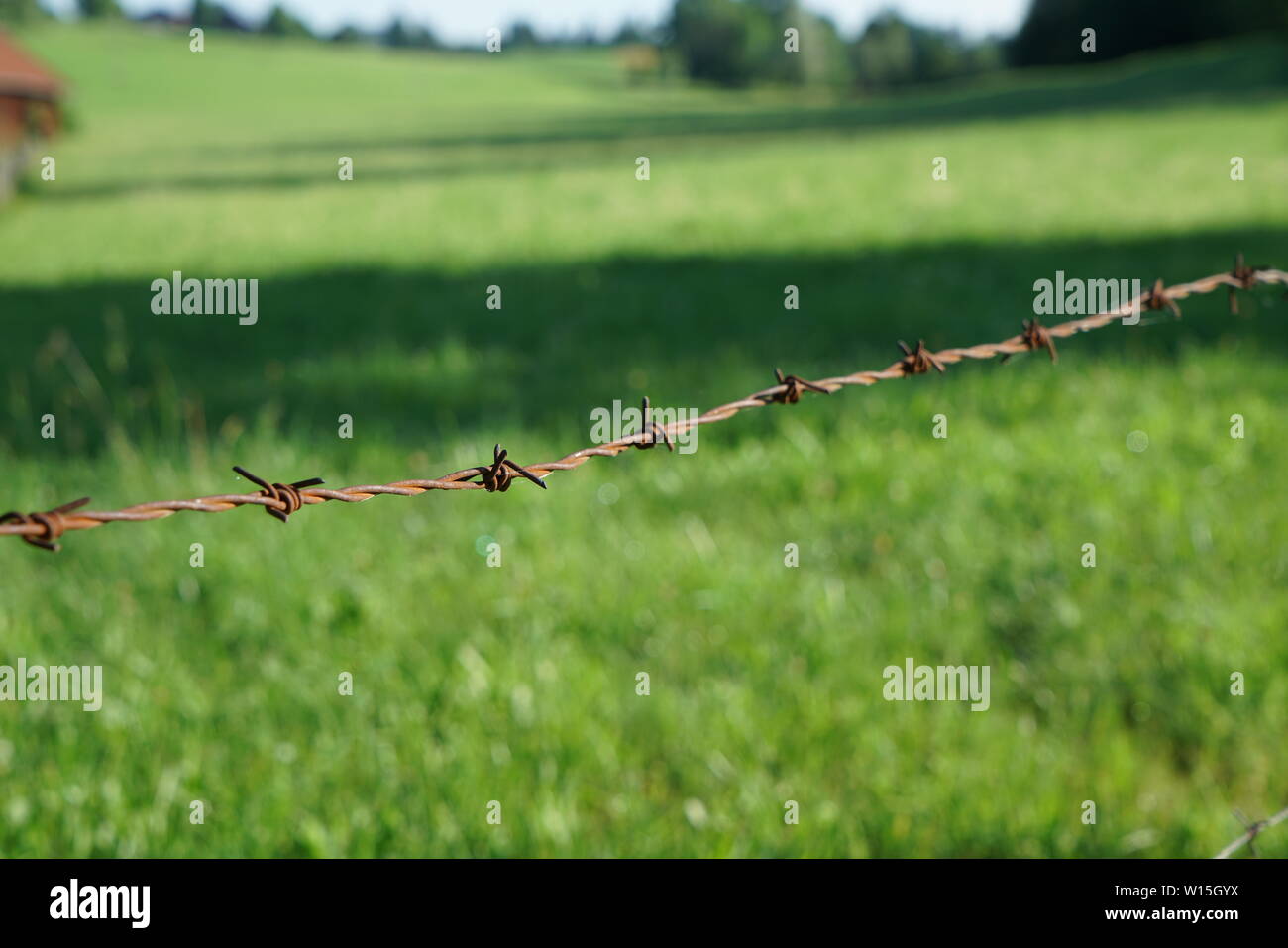 Un filo spinato protegge il gioco da escursionisti in Baviera Foto Stock