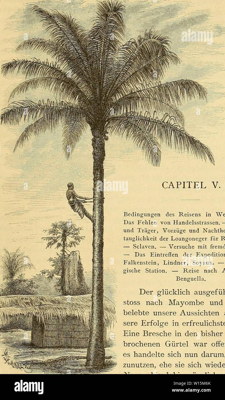 Immagine di archivio da pagina 164 di morire Loango-Expedition ausgesandt von der. Die Loango-Expedition ausgesandt von der Deutschen Gesellschaft zur Erforschung Aequatorial-Africas, 1873-1876 : ein Reisewerk in drei Abtheilungen . dieloangoexpedit00gssf Anno: 1879 Bedingungen des Reisens in Westafrica. - Das Fehlen von Handelsstrassen. - Lastthiere und Träger, Vorzüge und Nachtheile. - Onu- tauglichkeit der Loangoneger für Reisezwecke. - Sclaven. - Versuche mit fremden Negern. - Das Eintreffen der Expeditionsmitglieder Falkenstein, Lindner, Soyaux. - Meteorolo- gische stazione. - Reise nach Angola und Foto Stock